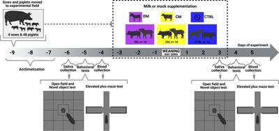 Asinine milk mitigates stress-mediated immune, cortisol and behavioral responses of piglets to weaning: A study to foster future interventions in humans